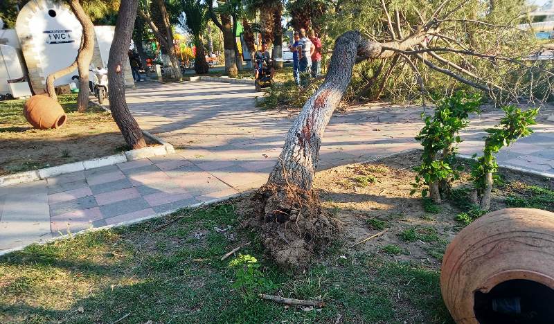 Bir Haftadir Esen Sert Ruzgar Etkili Oluyor Arena Bodrum Haber